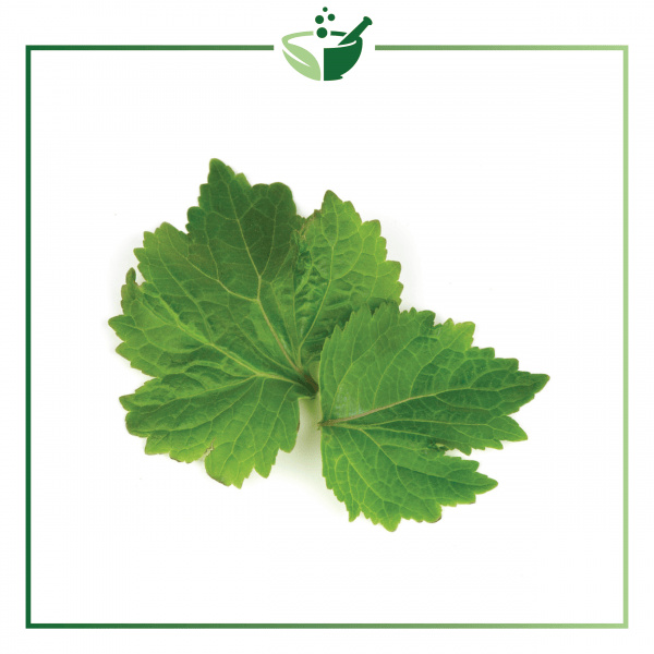Patchouli Essential Oil-01